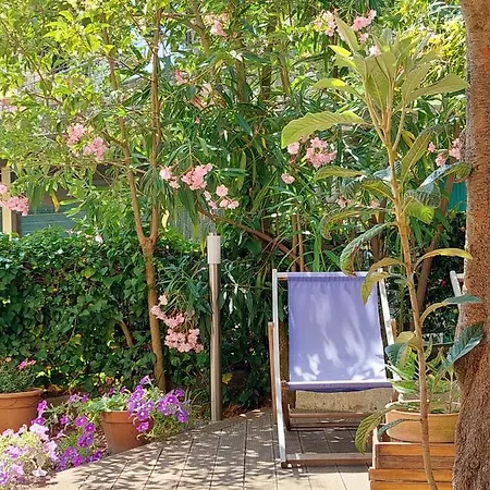 Albamare Guest house *