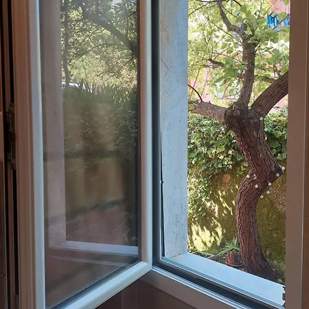 Guest house Albamare