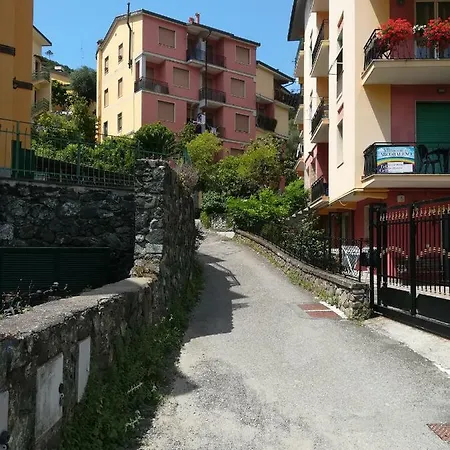 Albamare Monterosso al Mare