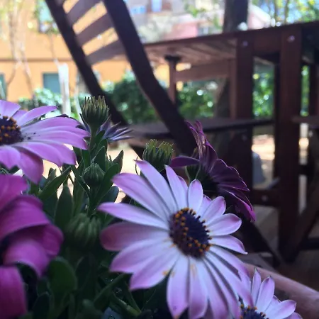 Guest house Albamare Monterosso al Mare