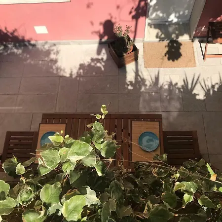 بيت ضيافة Albamare