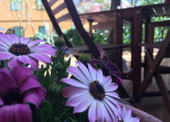 Pensjonat Albamare Monterosso al Mare